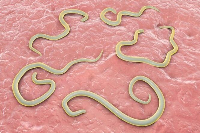 Τι είναι τα Helminths